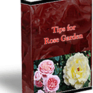 Tips for Rose Garden
